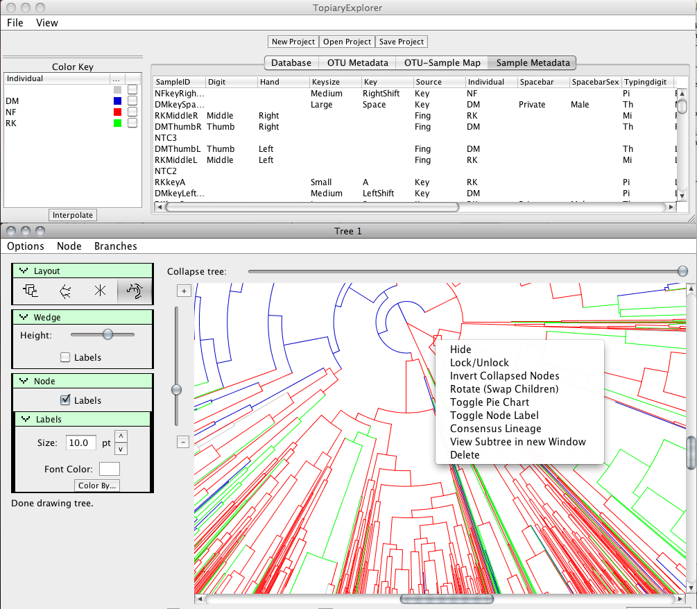 Screenshot of Topiary Explorer